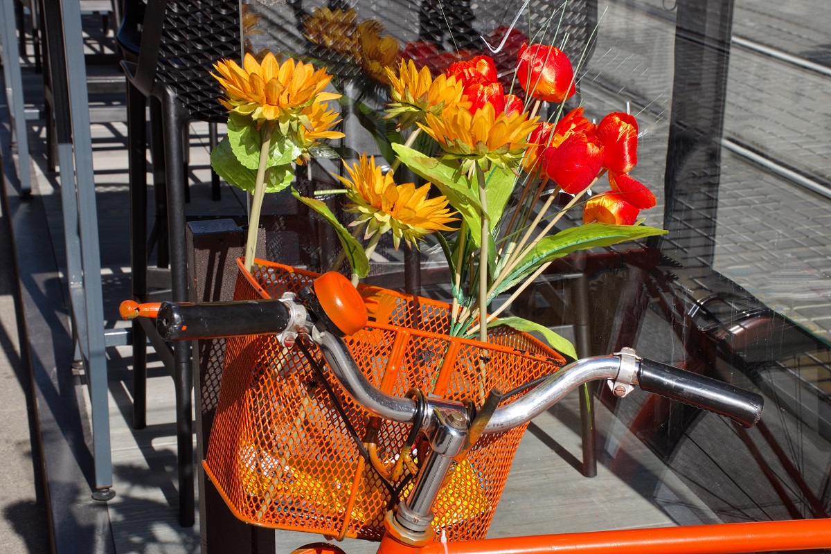 Koszyk rowerowy - wybór i montaż