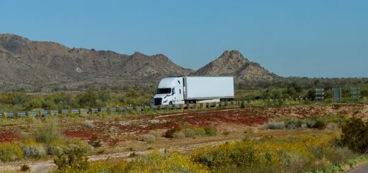 Transport żywności
